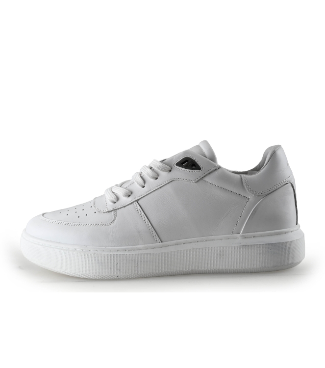 Manfield Sneakers