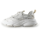 Steve Madden Sneakers