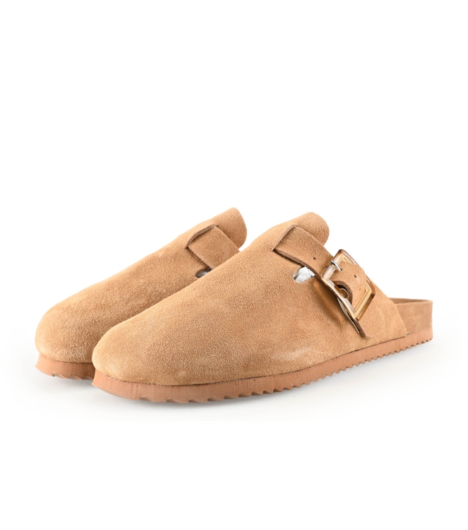 Colors of California Muiltjes