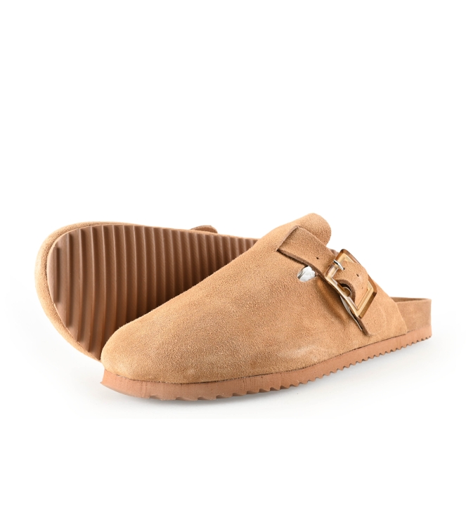 Colors of California Muiltjes