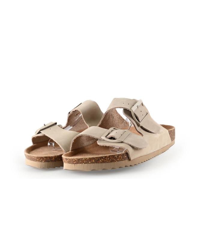 Colors of California Muiltjes