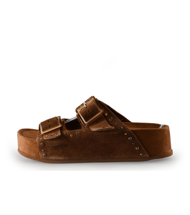 Colors of California Muiltjes