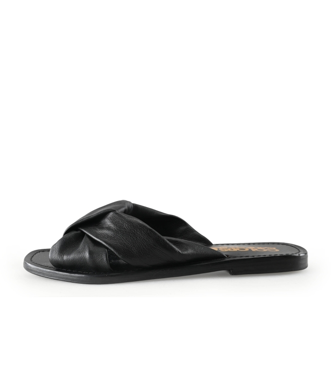 Colors of California Muiltjes