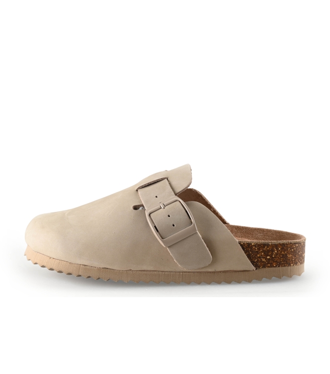 Colors of California Muiltjes