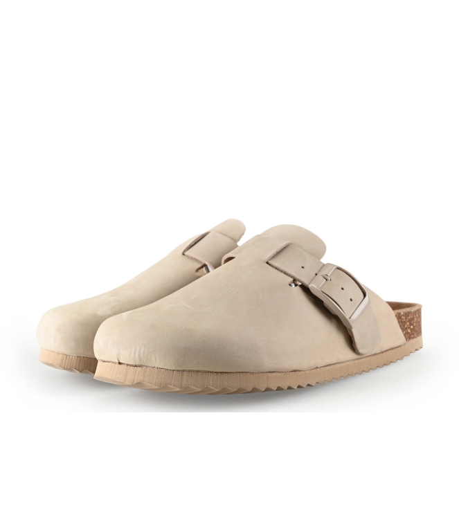 Colors of California Muiltjes