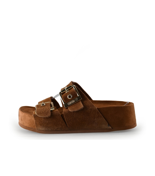 Colors of California Muiltjes