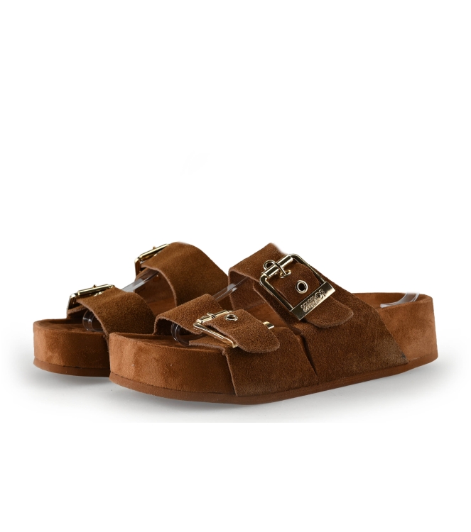 Colors of California Muiltjes