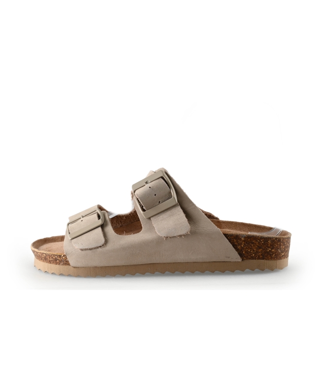 Colors of California Muiltjes