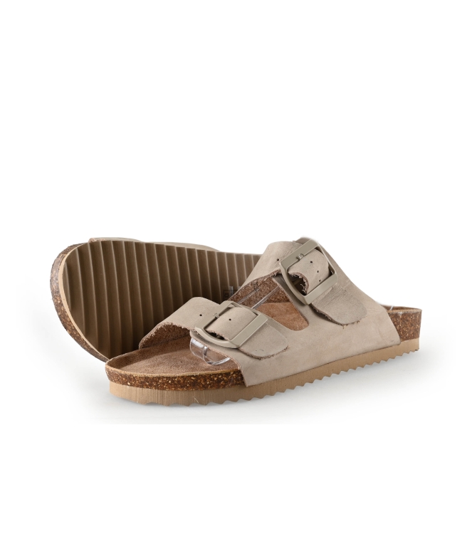 Colors of California Muiltjes