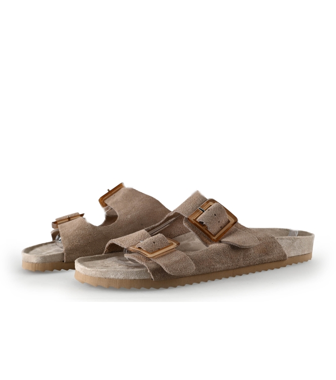 Colors of California Muiltjes