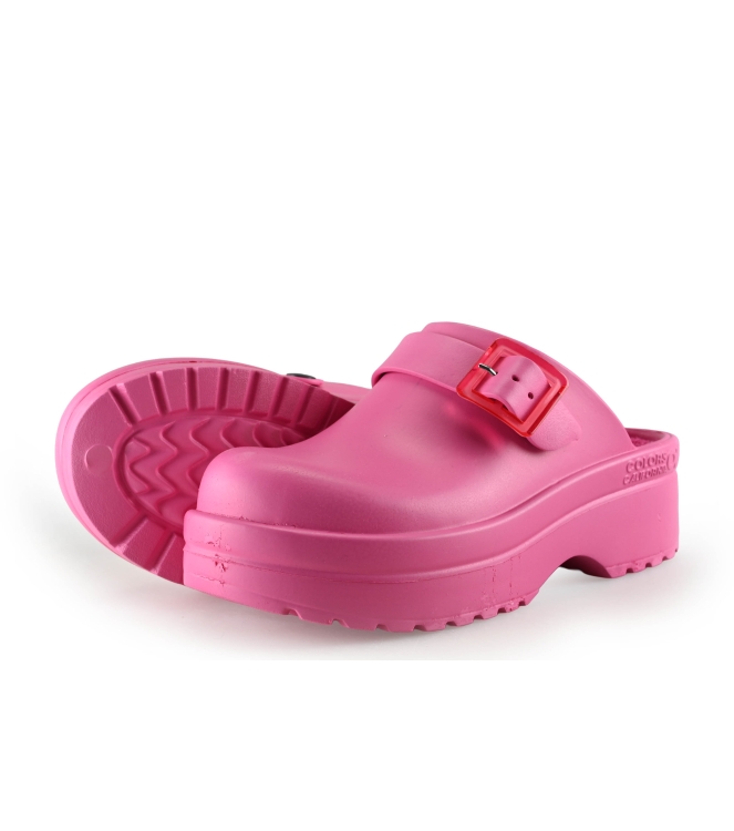 Colors of California Muiltjes