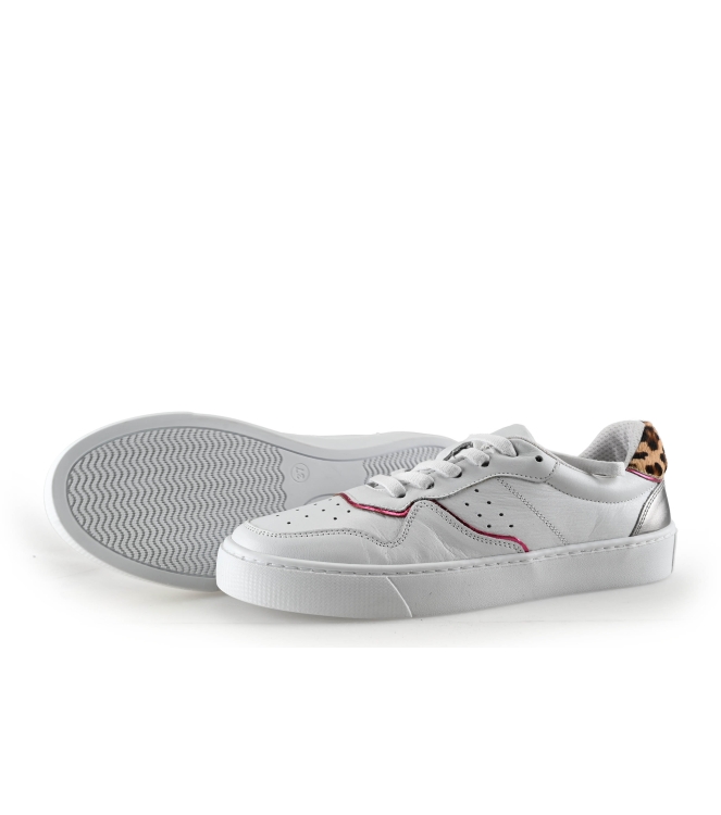 Colors of California Sneakers