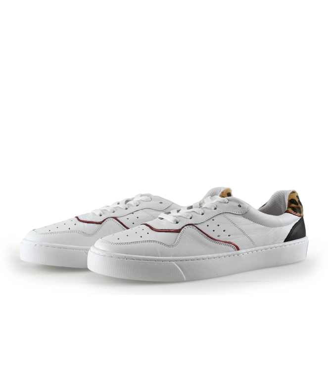 Colors of California Sneakers