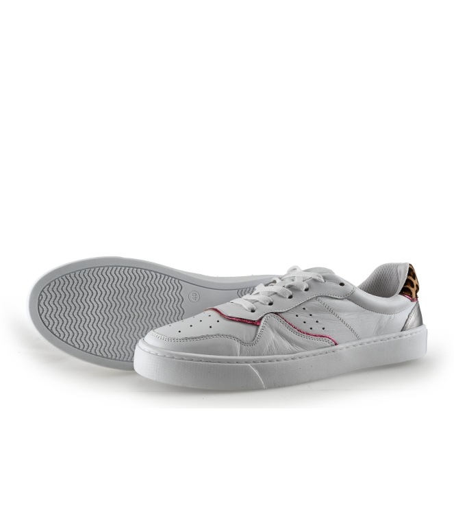 Colors of California Sneakers