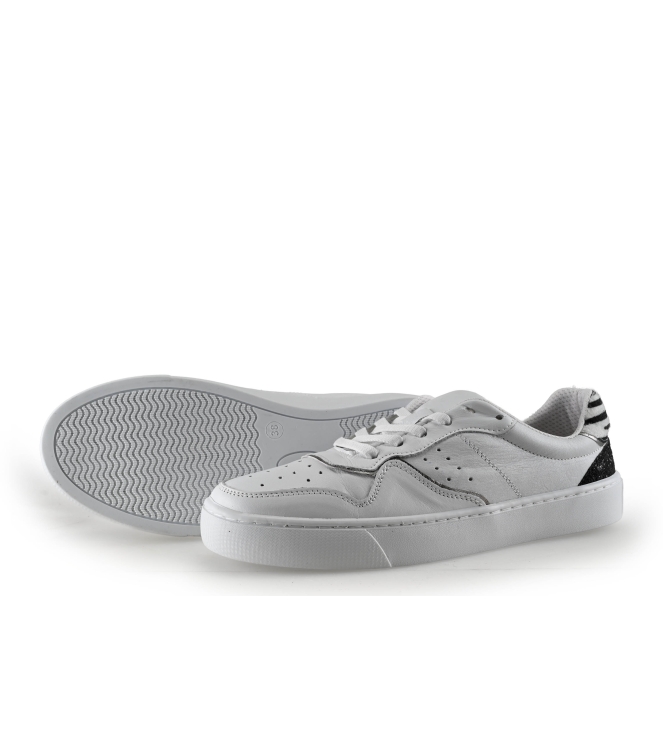 Colors of California Sneakers