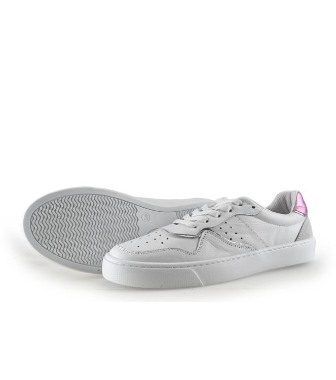 Colors of California Sneakers