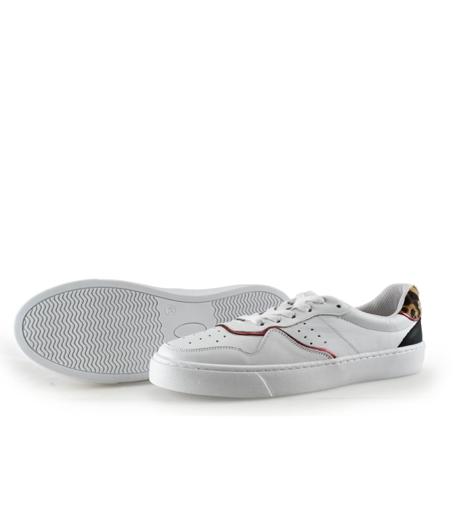 Colors of California Sneakers