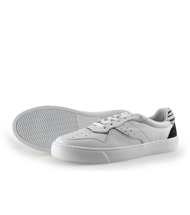 Colors of California Sneakers