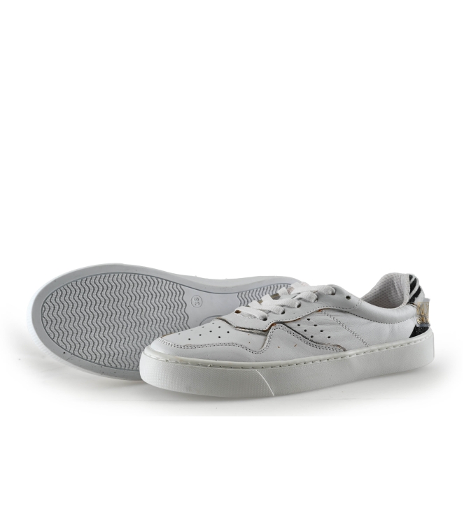 Colors of California Sneakers