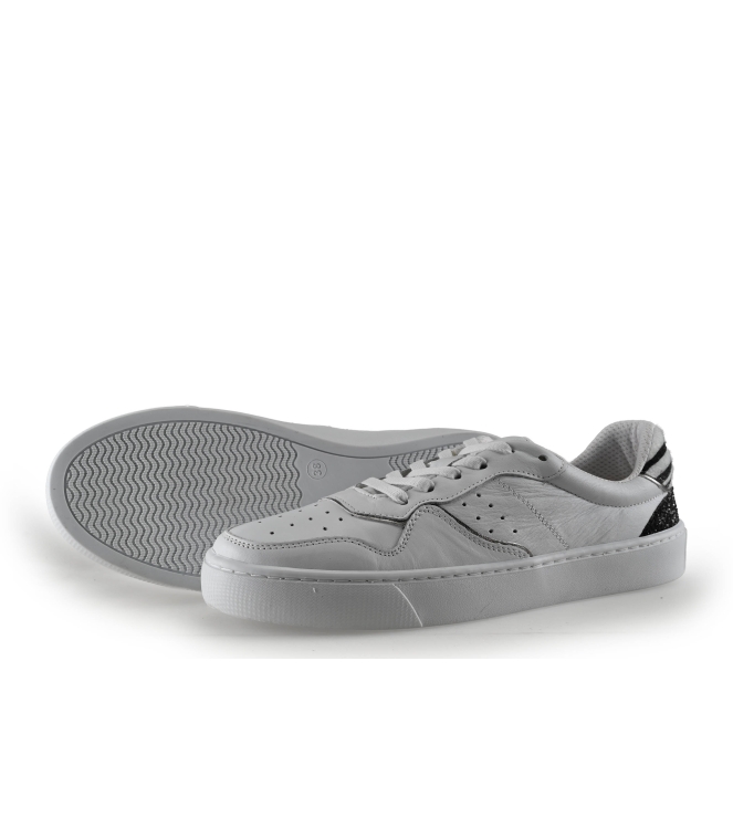 Colors of California Sneakers