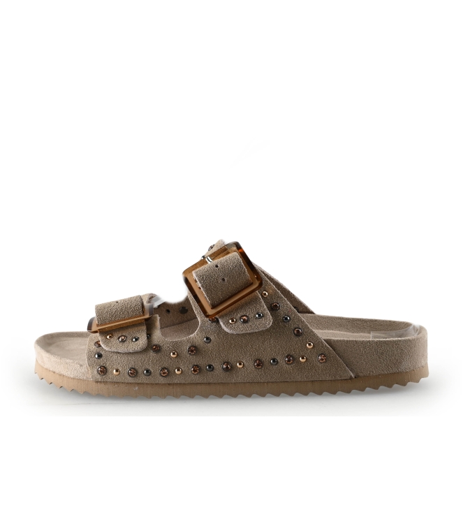 Colors of California Muiltjes