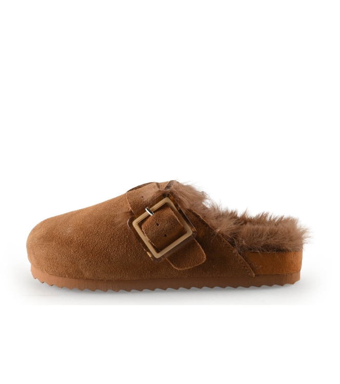 Colors of California Muiltjes