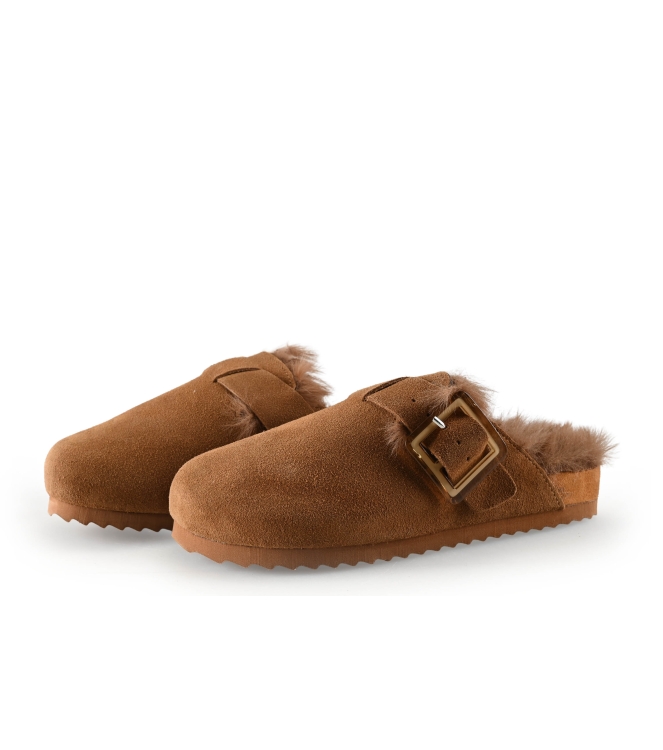 Colors of California Muiltjes