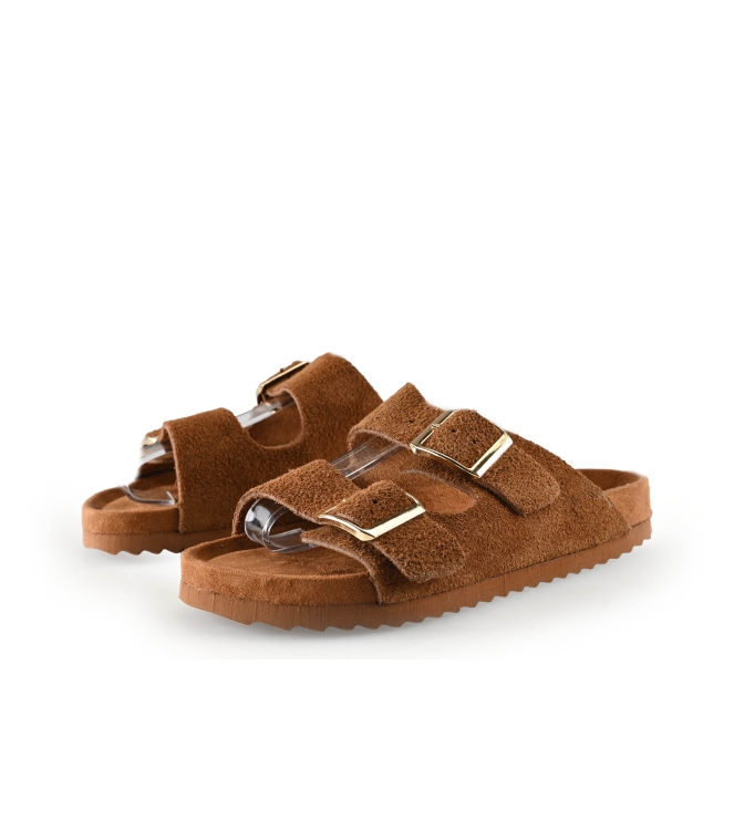 Colors of California Muiltjes