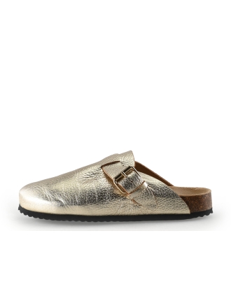 Sacha Muiltjes Goud 327241
 Maat 39
 