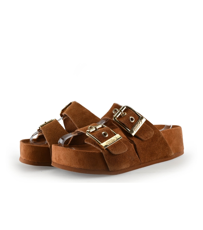 Colors of California Muiltjes