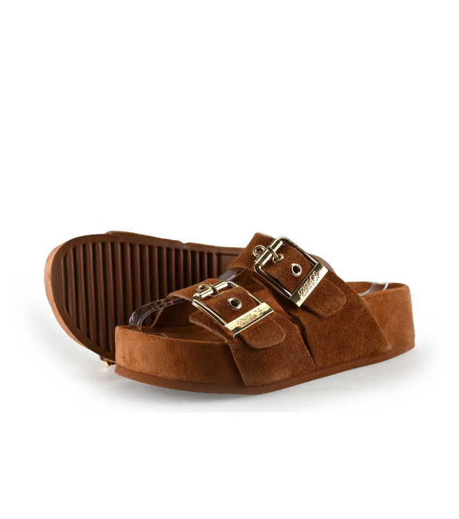 Colors of California Muiltjes