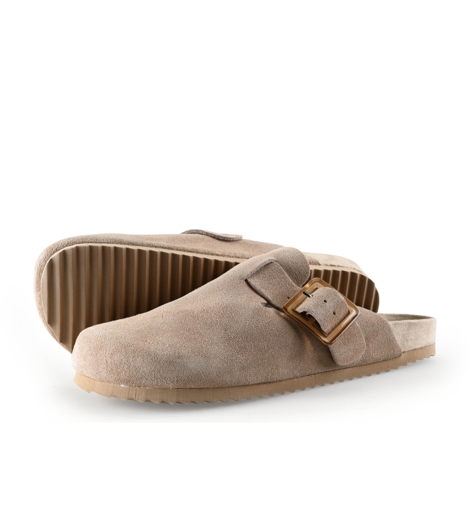 Colors of California Muiltjes