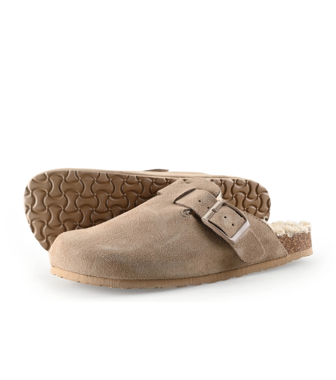 Colors of California Muiltjes