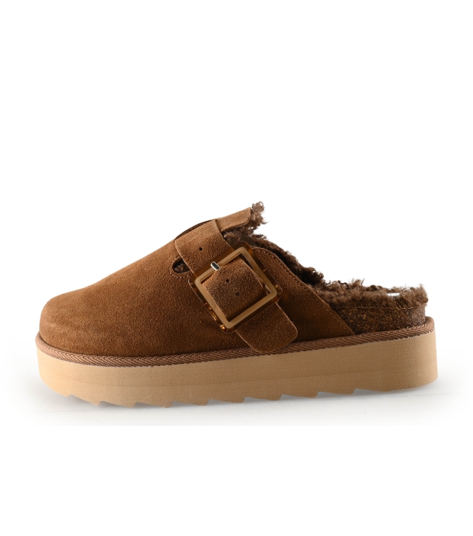 Colors of California Muiltjes