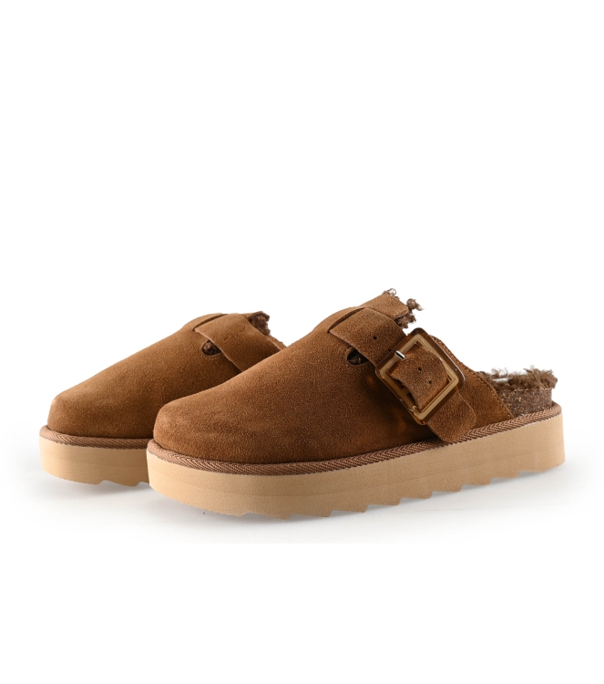 Colors of California Muiltjes