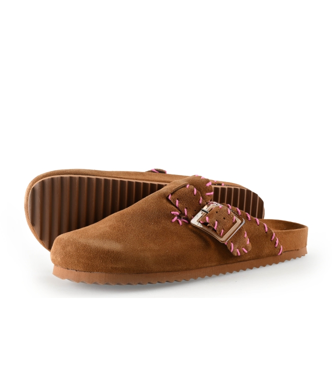 Colors of California Muiltjes