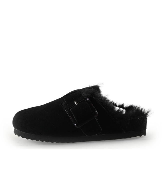 Colors of California Muiltjes