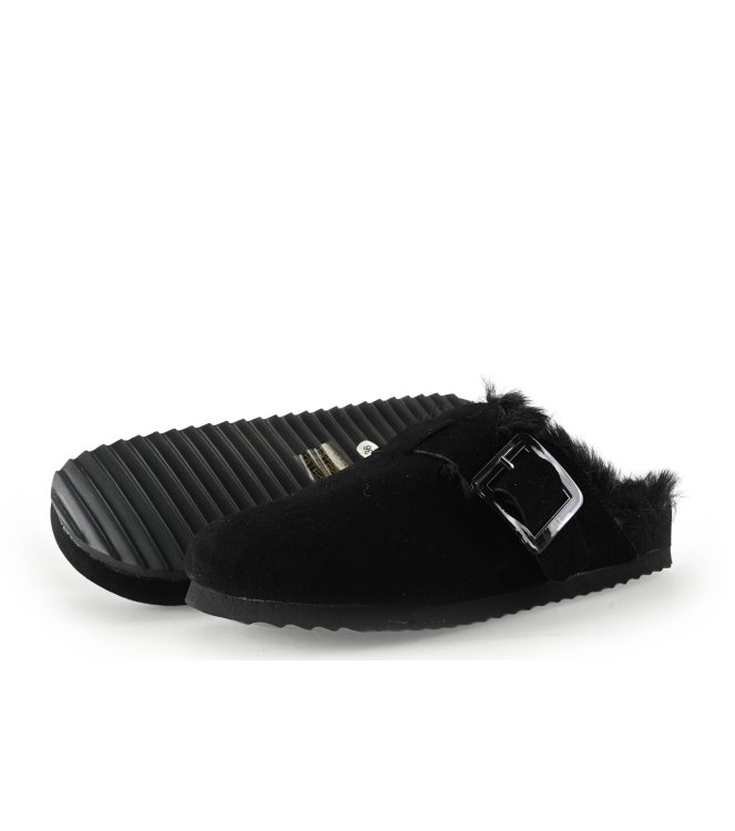 Colors of California Muiltjes