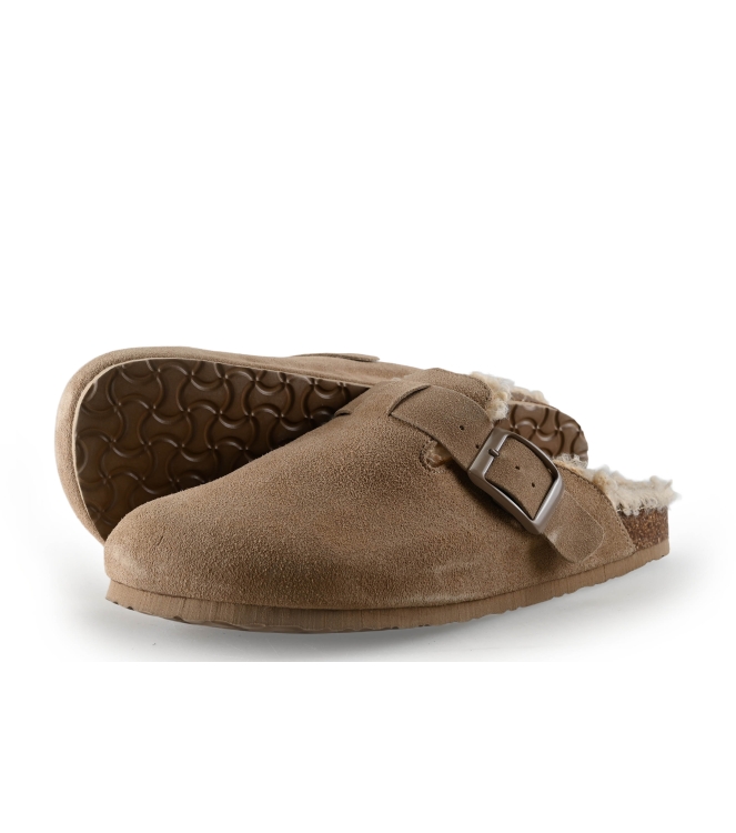 Colors of California Muiltjes