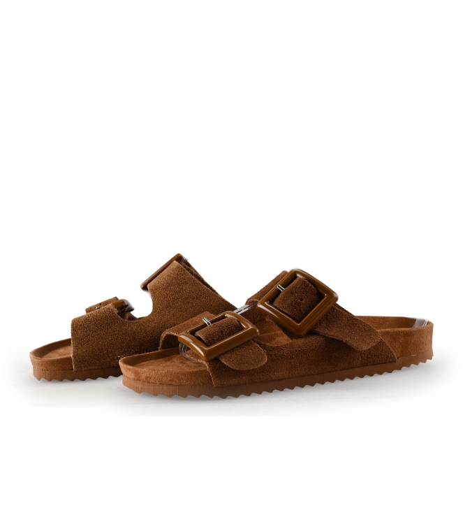 Colors of California Muiltjes