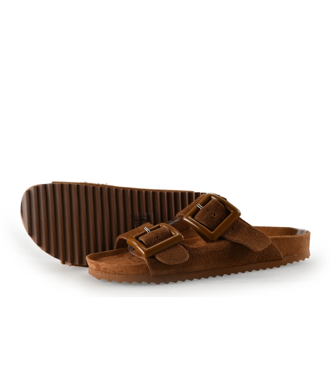 Colors of California Muiltjes