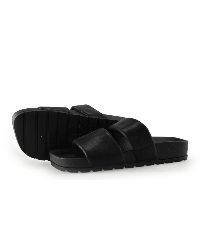 Colors of California Muiltjes