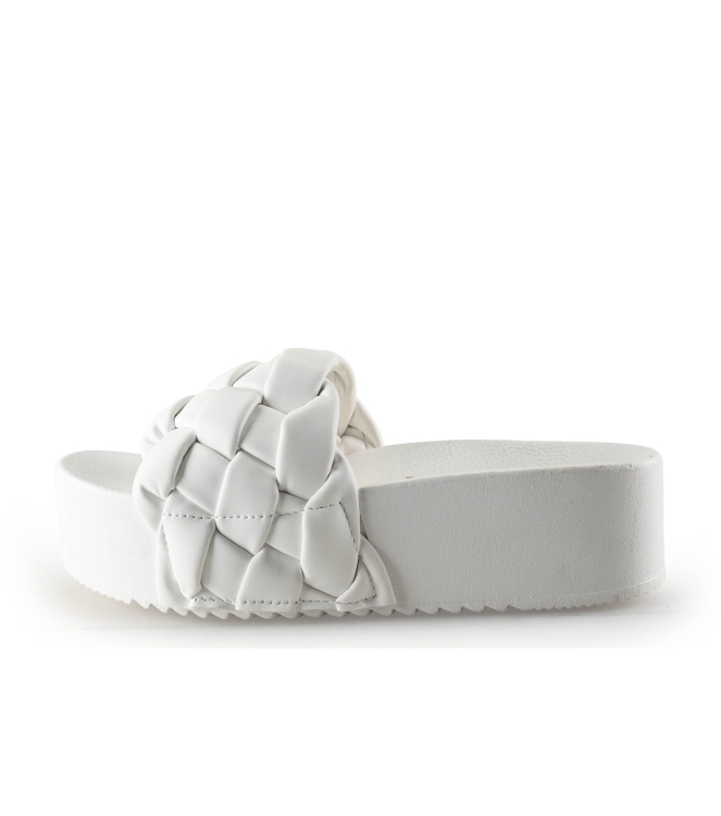 Colors of California Muiltjes