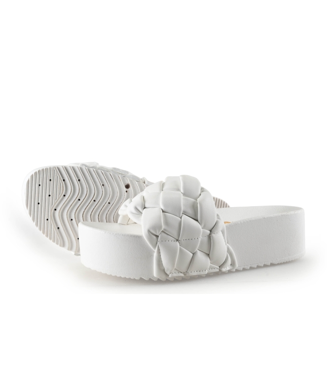 Colors of California Muiltjes