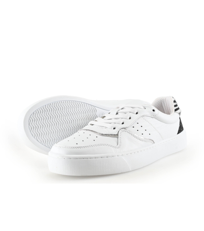 Colors of California Sneakers