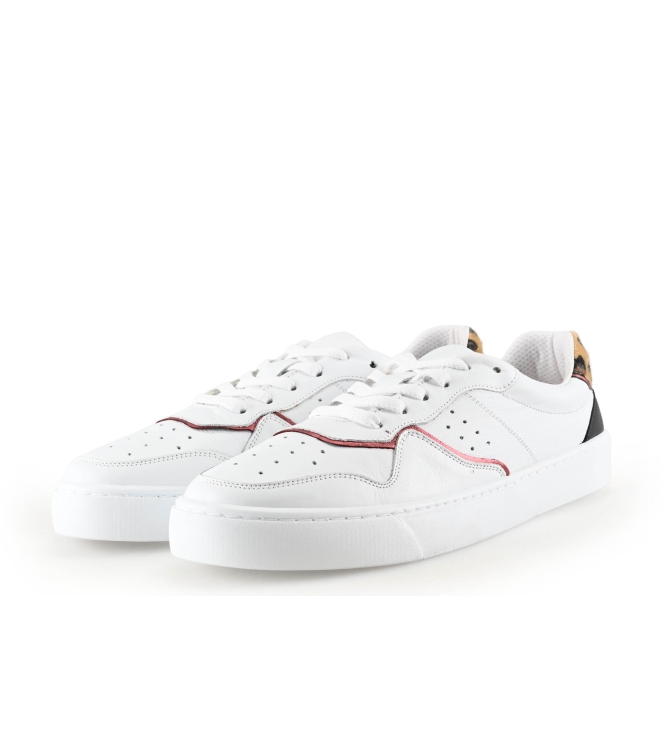 Colors of California Sneakers