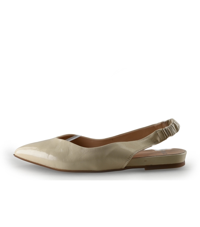 Manfield Ballerina's