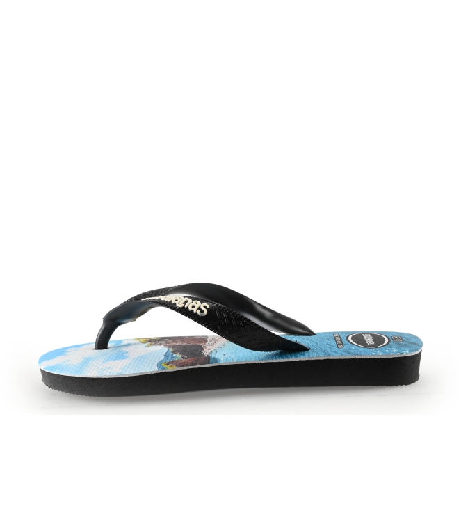 Havaianas Slippers