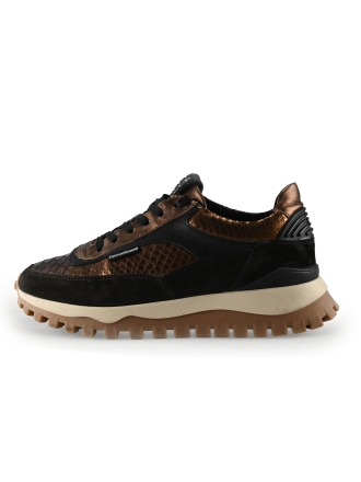 Floris van Bommel Sneakers Bruin 329549
 Maat 39
 