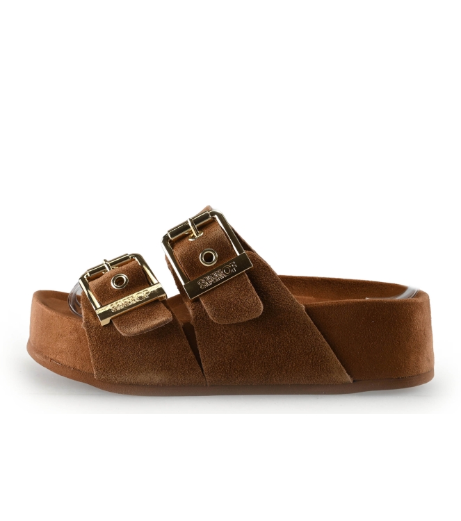 Colors of California Muiltjes